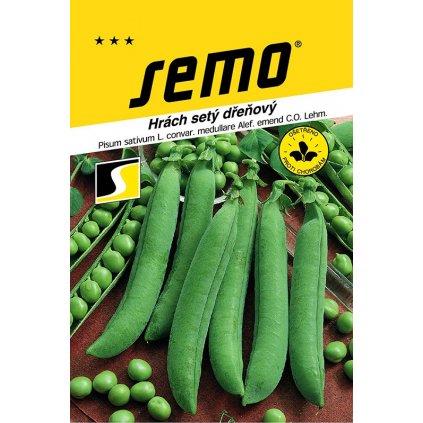 HRACH SKORÝ PROGRESS 9