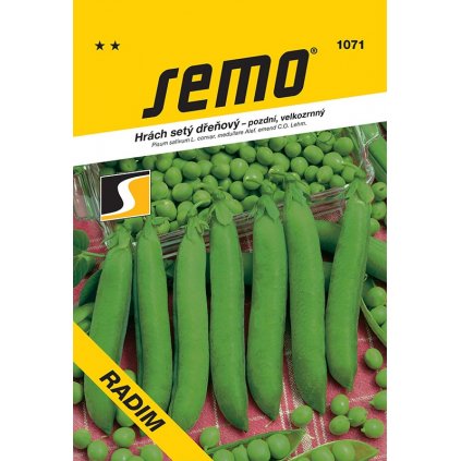 HRACH NESKORÝ RADIM