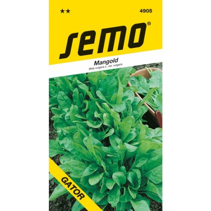 MANGOLD PERPETUAL SPINACH