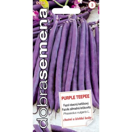 FAZUĽA KRÍČKOVÁ PURPLE TEEPEE