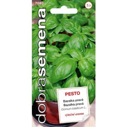 BAZALKA PESTO