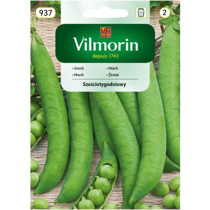 HRACH VEĽMI SKORÝ ŠESŤTÝŽDŇOVÝ