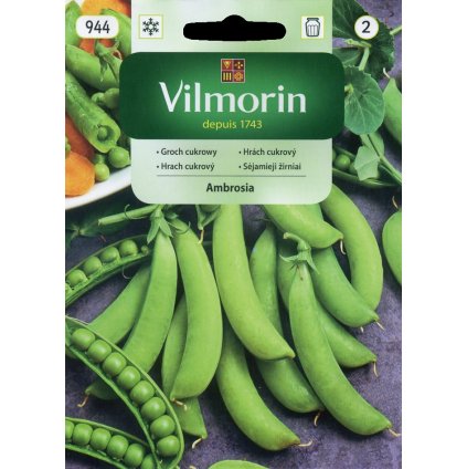 HRACH STREDNE SKORÝ AMBROSIA