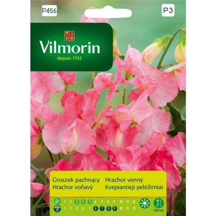 HRACHOR VOŇAVÝ RUŽOVÝ