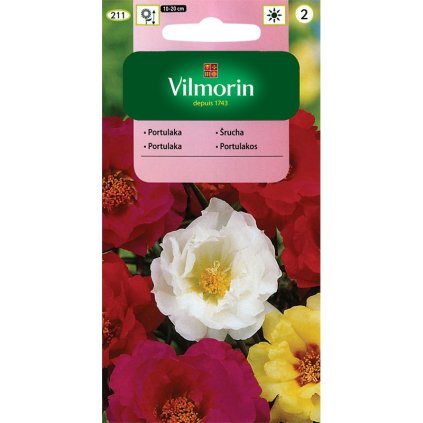 PORTULAKA VEĽKOKVETÁ