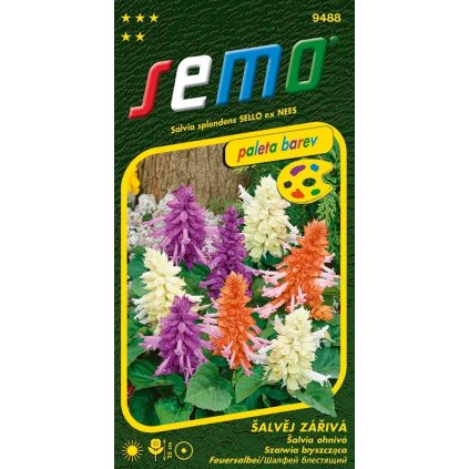 ŠALVIA  OHNIVÁ ZMES