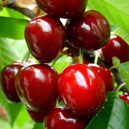 89167a