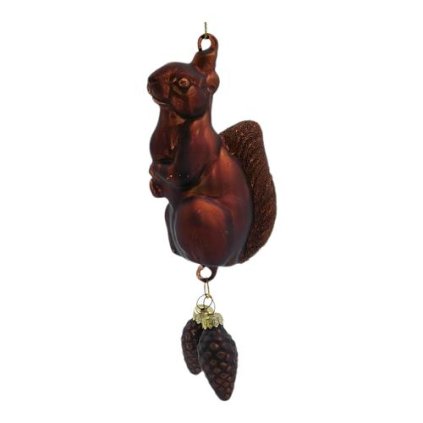 VEVERIČKA SO ŠIŠKAMI