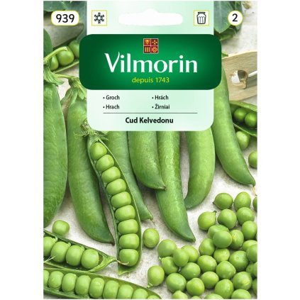 HRACH SKORÝ ZÁZRAK Z KELVEDONU