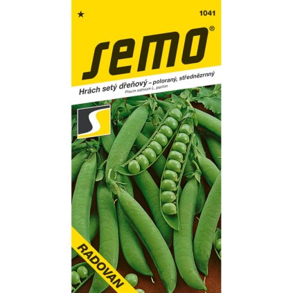 HRACH STREDNE SKORÝ RADOVAN