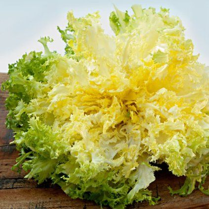 ČAKANKA ŠTRBÁKOVÁ CIGAL 9 ks