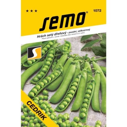 HRACH NESKORÝ CEDRIK