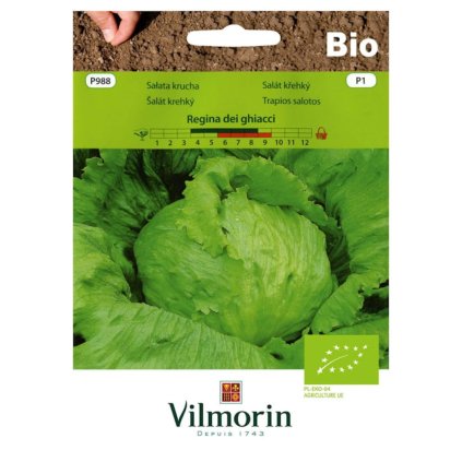 bio salat regina dei ghiacci vilmorin p988