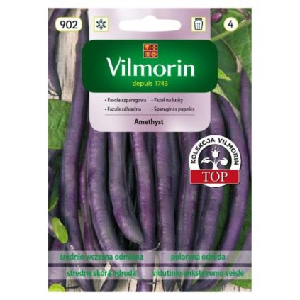 fazula amethyst vilmorin 902