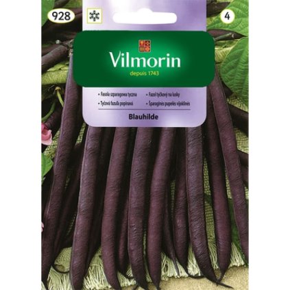 fazula blauhilde vilmorin 928 real