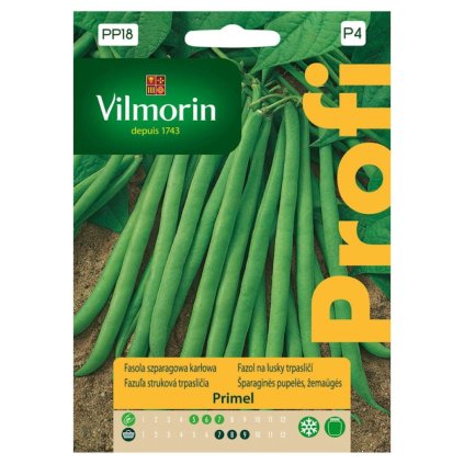 fazula primel vilmorin pp18