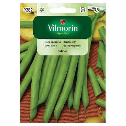 fazula delinel vilmorin 9282