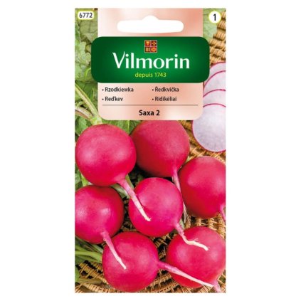 redkovka celorocna saxa 2 vilmorin 6772