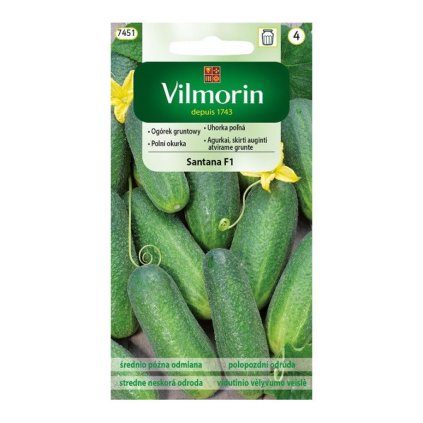 uhorka polna santana f1 vilmorin 7451