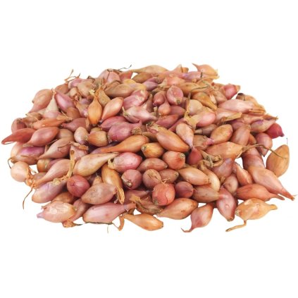 CIBUĽA SADZAČKA RUŽOVÁ ROSANNA (Balenie 250 g)