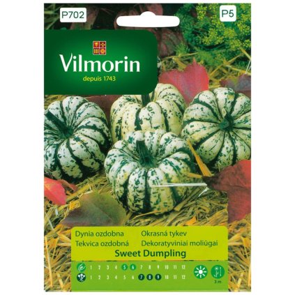 tekvica ozdobna sweet dumpling vilmorin p702