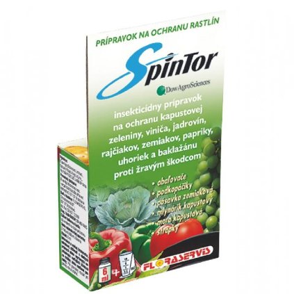 spintor real