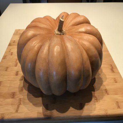 TEKVICA MUŠKÁTOVÁ