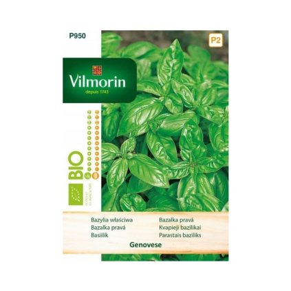 bazalka prava bio genevese vilmorin P950