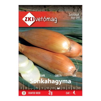 cibula jarna sonkahagyma zkivetomag