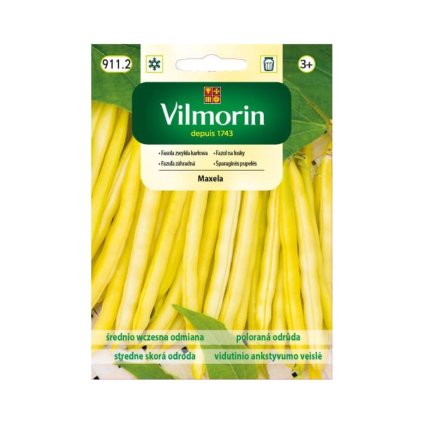 fazula zahradna maxela vilmorin 911.2