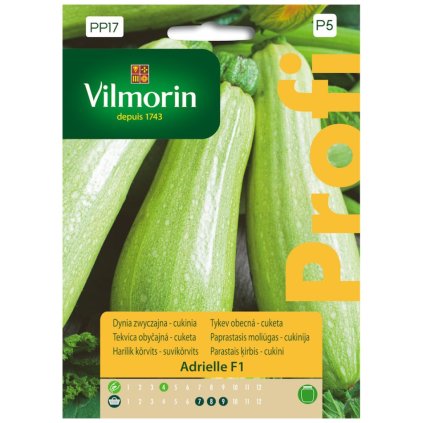tekvica obycajna cuketa adrielle f1 vilmorin pp17