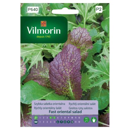 rychly orientalny salat vilmorin p540