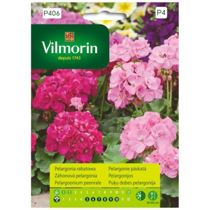 pelargonia zahonova ruzova vilmorin p406