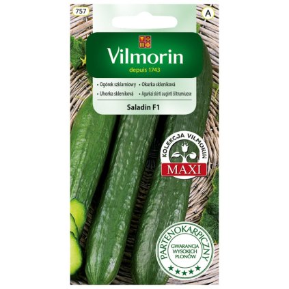 uhorka sklenikova saladin f1 vilmorin 757