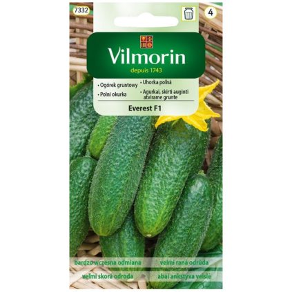 uhorka polna everest f1 vilmorin 7332