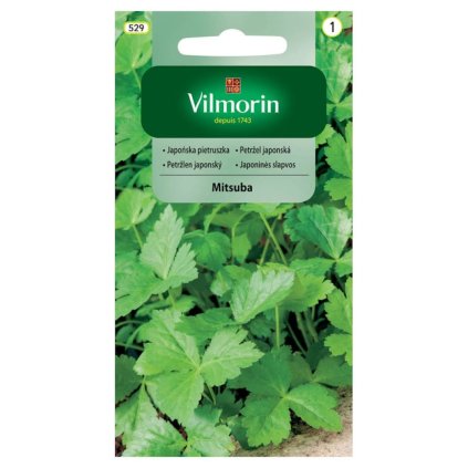 petrzlen vnatovy hladky mitsuba vilmorin 529