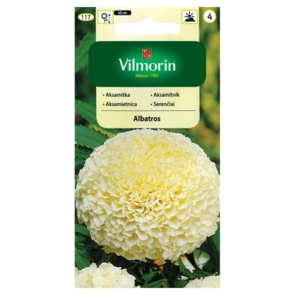 aksamietnica albatros vilmorin 117