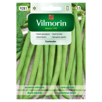 fazula contender vilmorin 9281