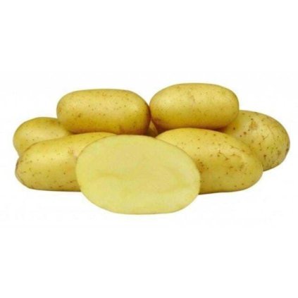 SADBOVÉ ZEMIAKY COLETTE (Balenie 5 kg, Veľkosť Sadba: 35 - 60 mm)