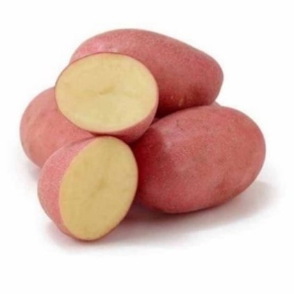 SADBOVÉ ZEMIAKY RED ANNA (Balenie 5 kg, Sadba 35 - 60 mm)