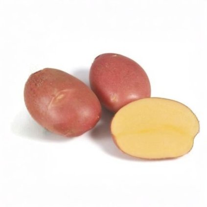 SADBOVÉ ZEMIAKY MOZART (Balenie 1 kg, Minisadba 28 - 35 mm - morené)