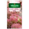 salat listovy crimson vilmorin 874