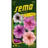 PETÚNIA S ORCHIDEOVOU HVIEZDOU F1 MIX FARIEB