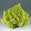 ROMANESCO PUNT VERDE F1 6 ks