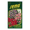 astra cinska trpaslik semo9118 cover