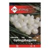 cibula perlovka gyongyhagyma zkivetomag