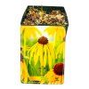 ECHINACEA PARADOXA (Kvetináč 1 liter, Výška 10 cm)