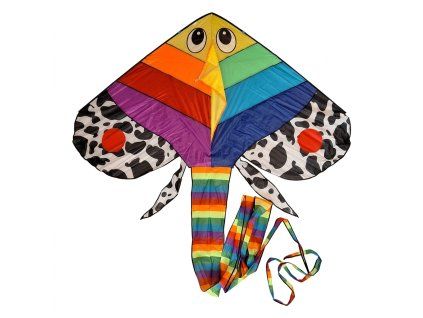 rainbow fish