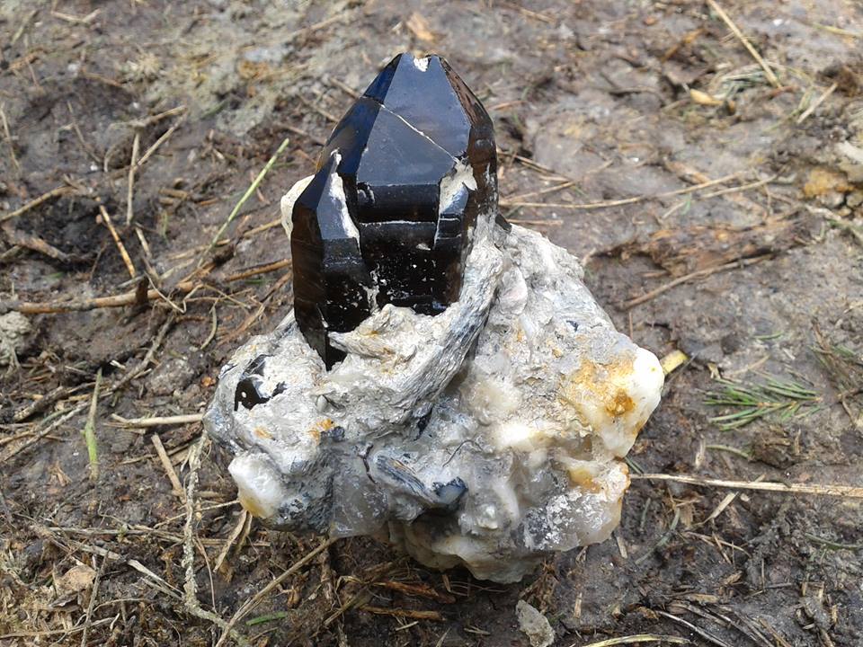 České a moravské záhnědy