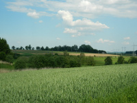 Výhled na pole a železniční trať pod sousední vesnicí Suky